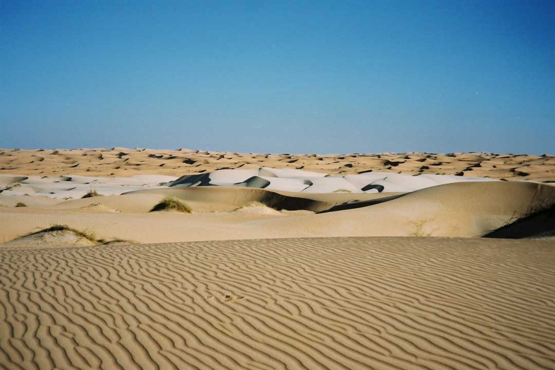 Dunes bicolores