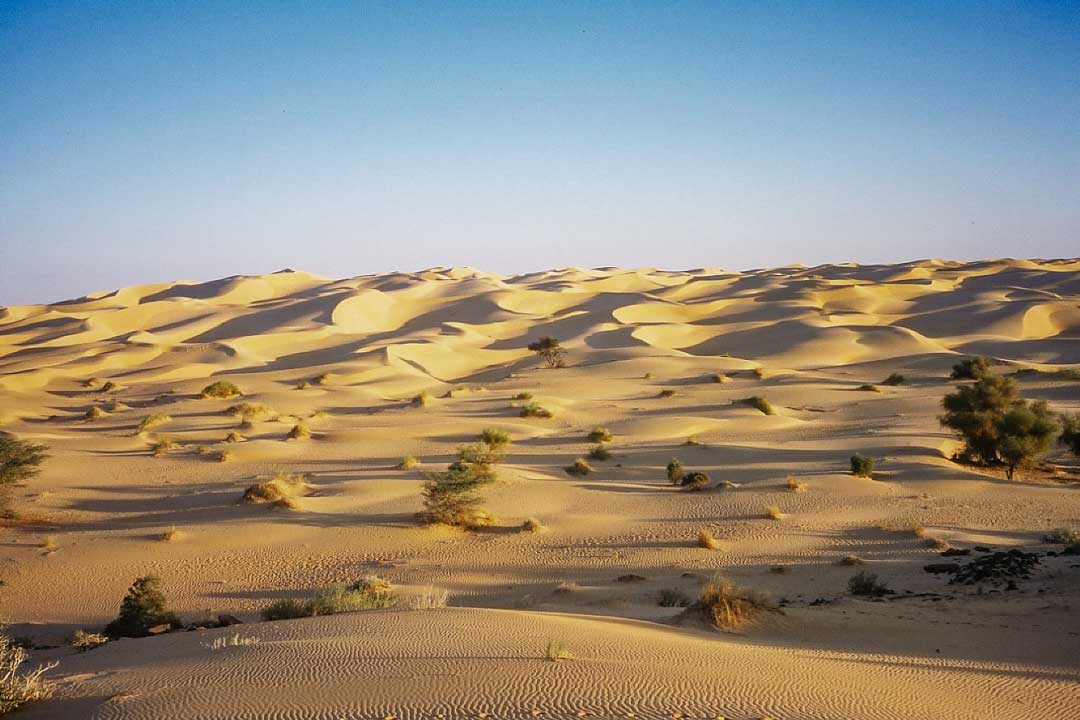 Rythme du Sahara